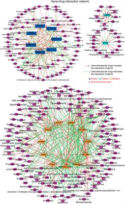 Comprehensive Analyses of the Expression, Genetic Alteration, Prognosis Significance, and Interaction Networks of m6A Regulators Across Human Cancers